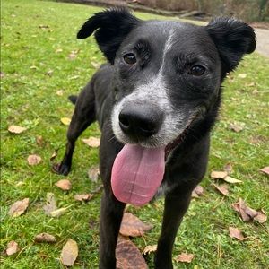 Meet your Posher, Jill